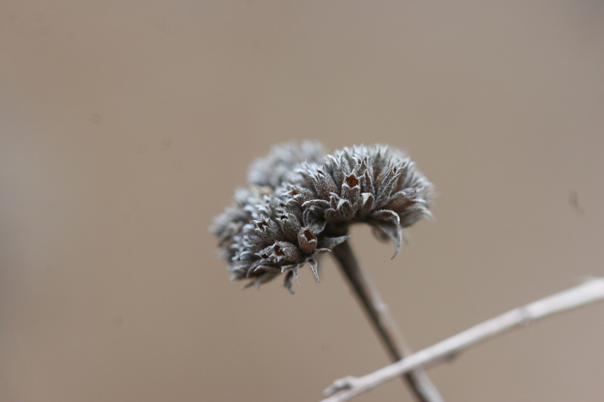 A matter of worth… or not