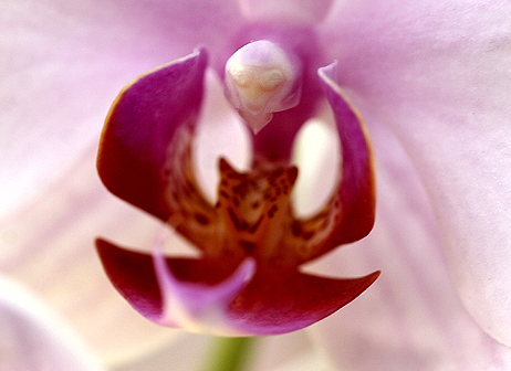 While sipping an afternoon cup of coffee…