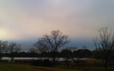 Something is not right…