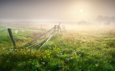 Too early in the morning but…