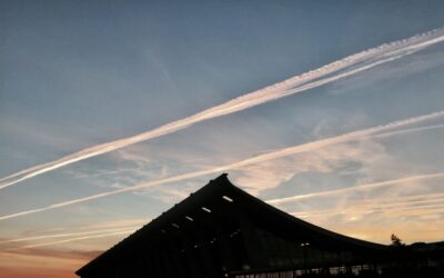 So many memories and yet… not enough