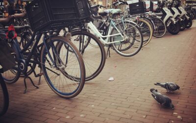 We made it… or are we making it?