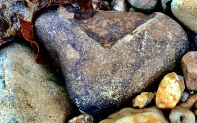 The last hours of the first month