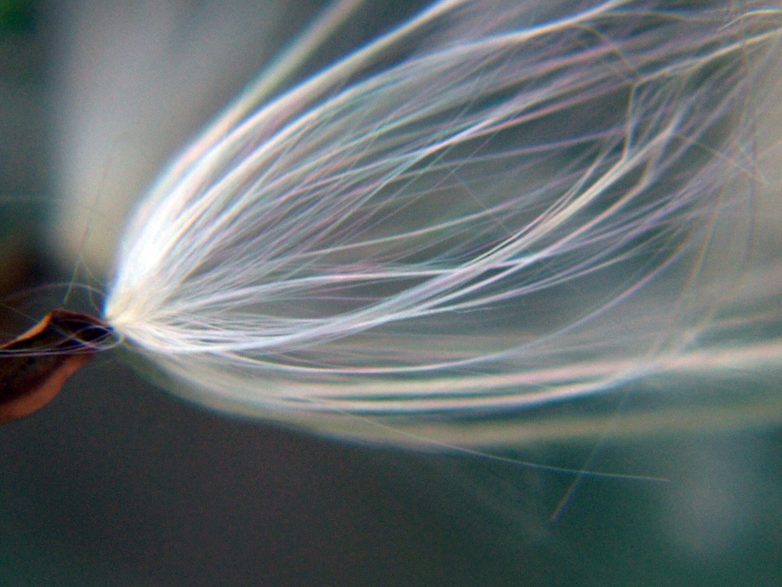 The other side of the mirror