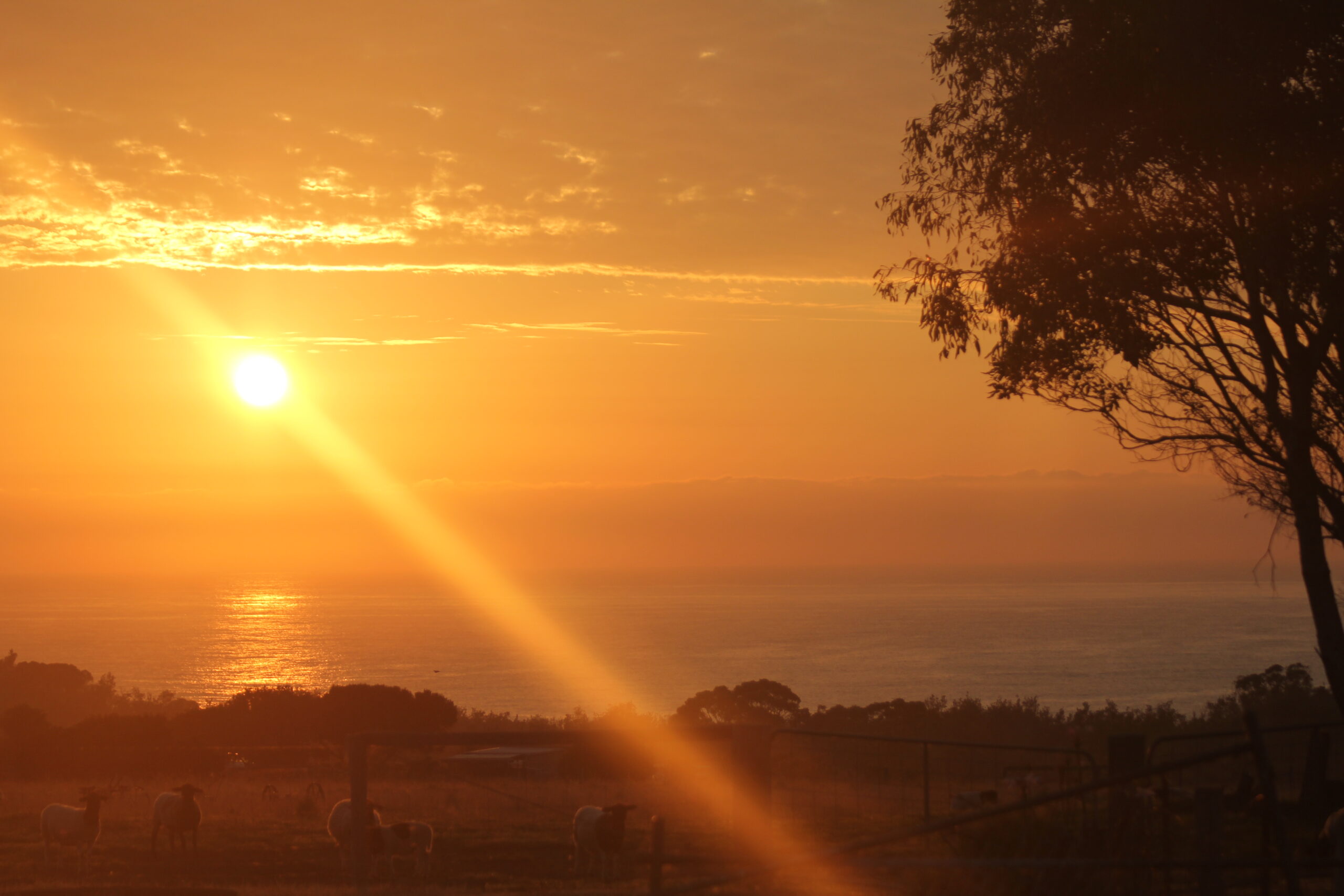 Just for the sake of a feeling