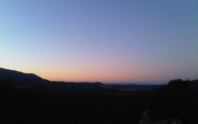 The other face of pain