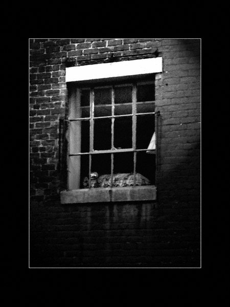 Understand her silence