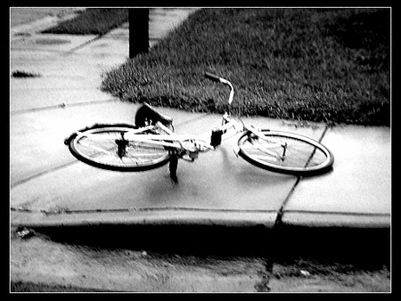 Where are the Children, mr. president